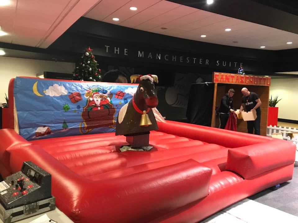 Rodeo reindeer on hire at Old Trafford, Manchester